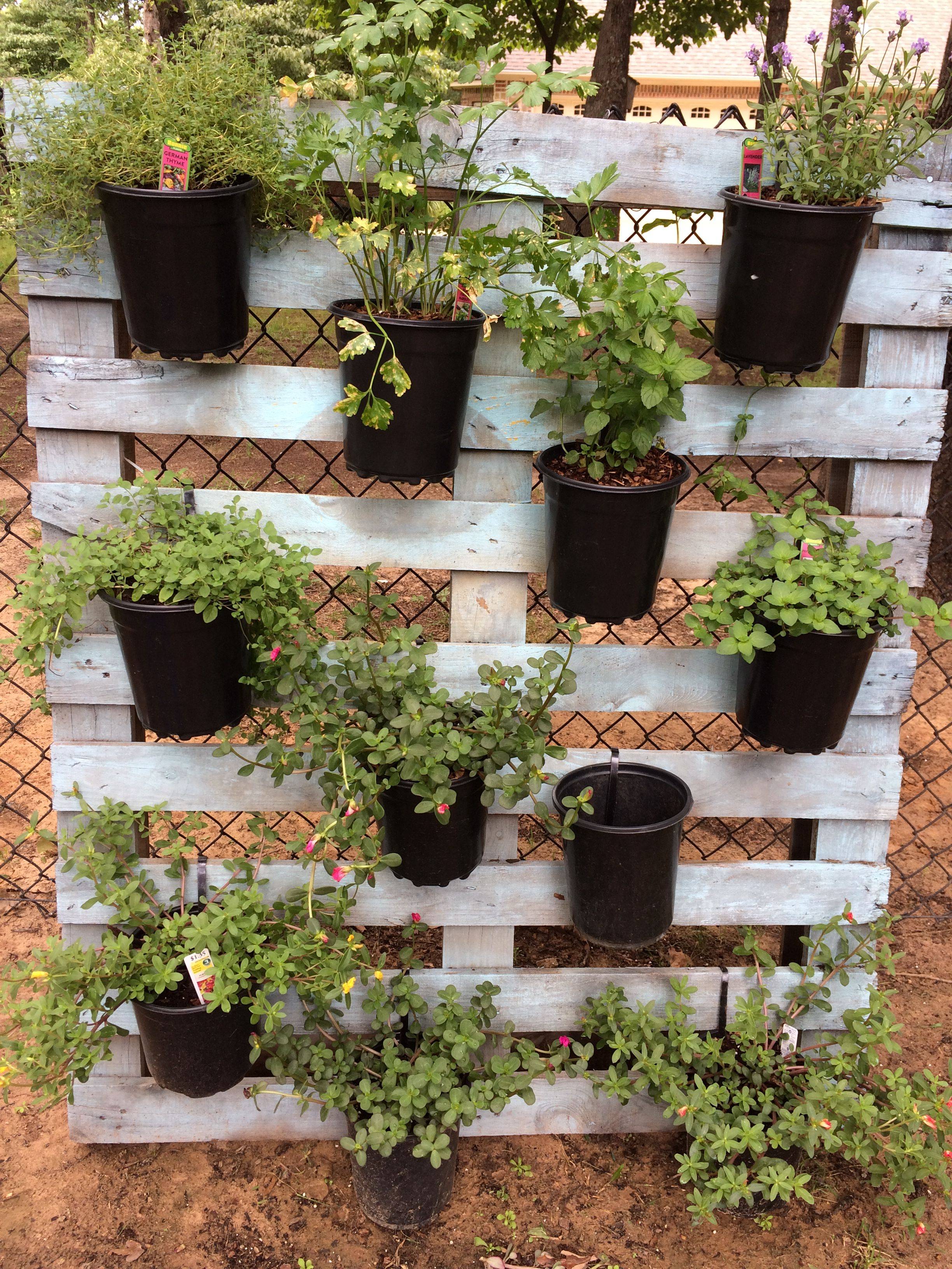 Spectacular Recycled Wood Pallet Garden Ideas