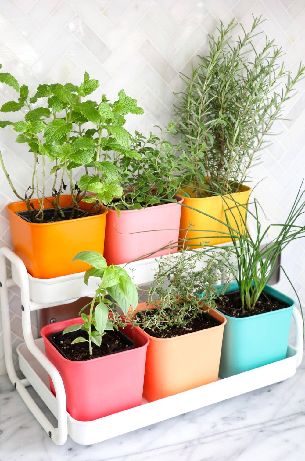 Diy Backyard Kitchen Herb Garden