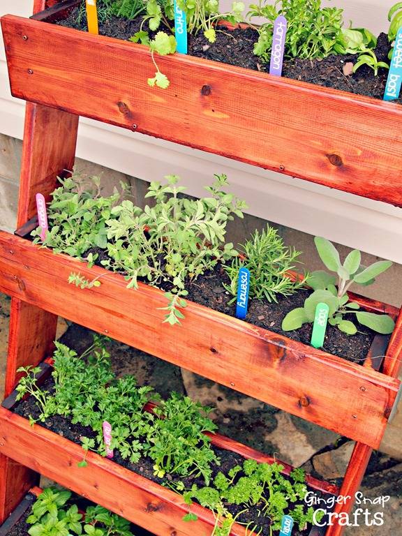 Diy Backyard Kitchen Herb Garden