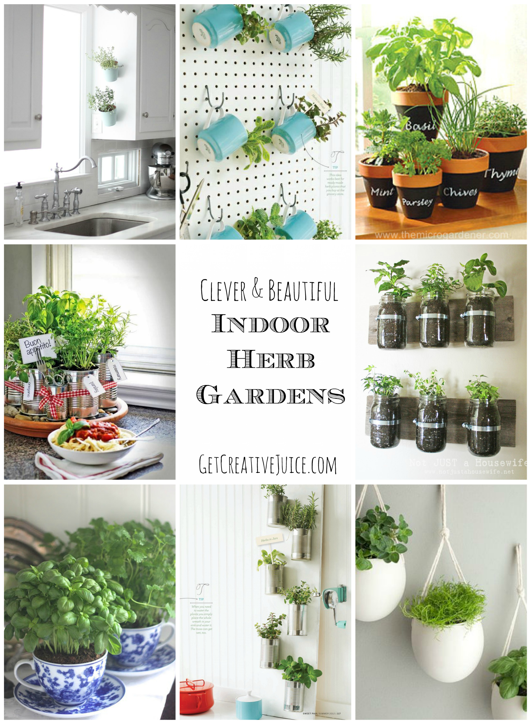 Diy Colorful Indoor Herb Garden