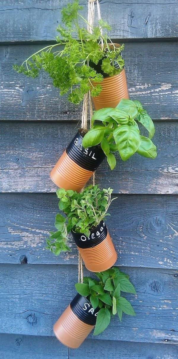 Best Herb Garden Ideas