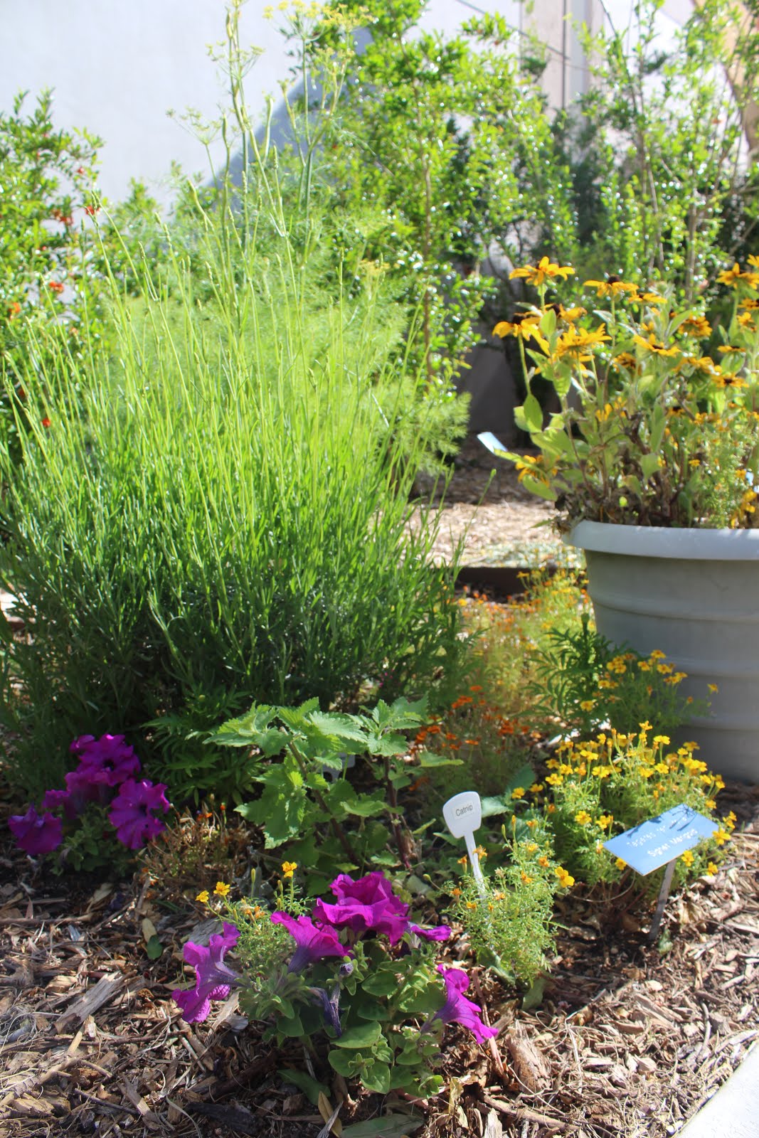 A Simple Formal Herb Garden