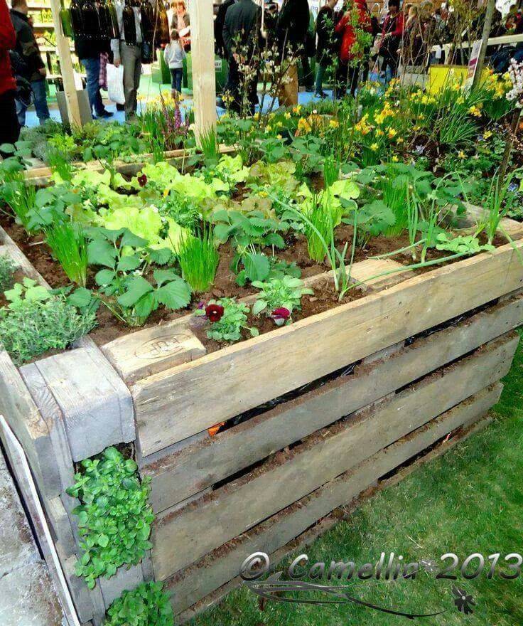 Easy Diy Pallet Ideas