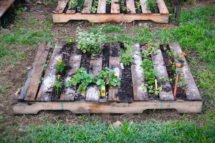 Diy Pallet Vegetable Garden Pallets Pro