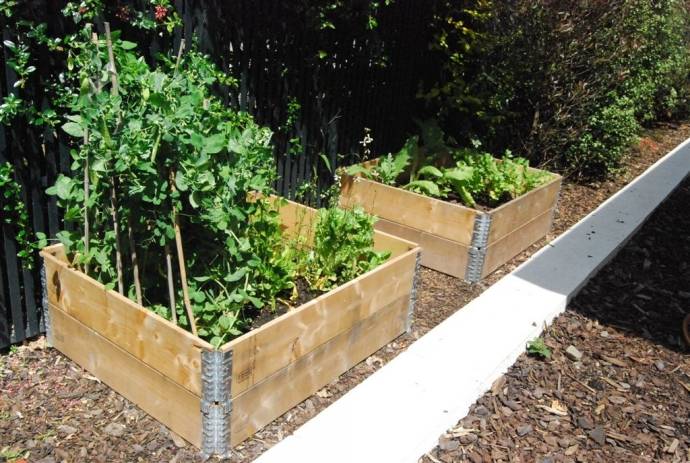 Diy Vertical Pallet Vegetable Garden Pallets