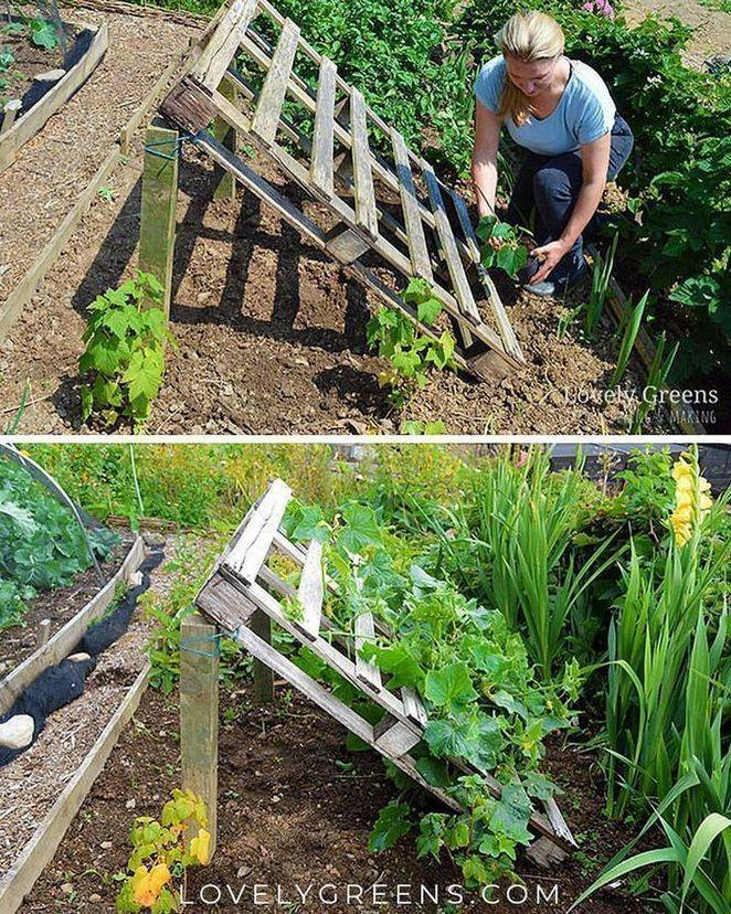 A Pallet Vegetable Garden Pallet Vegetable Garden
