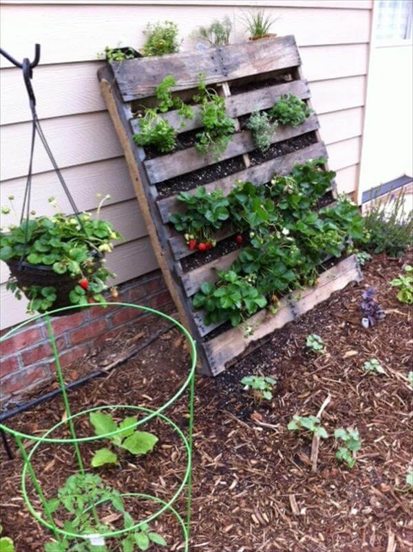 Innovative Diy Pallet Vertical Garden Ideas