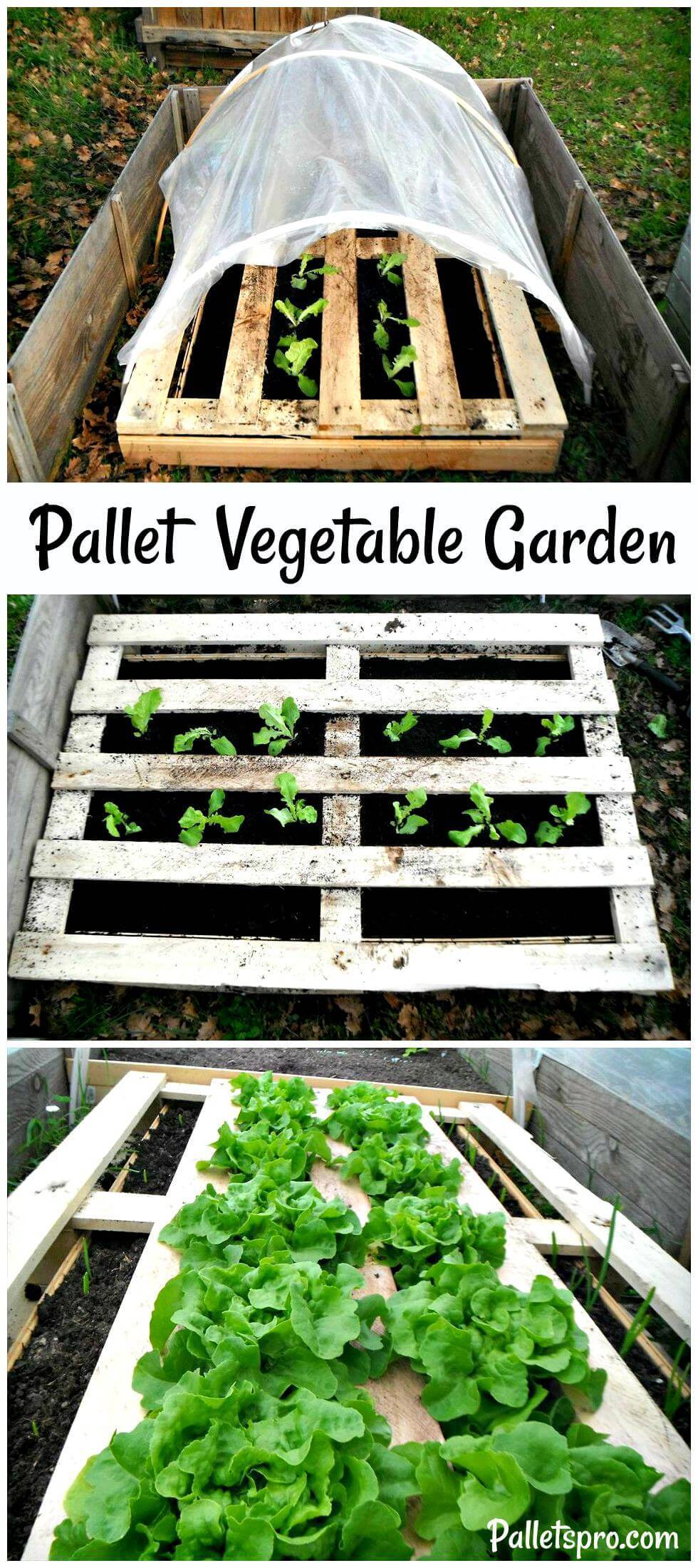 23 Pallet Vegetable Garden Ideas You Should Check SharonSable