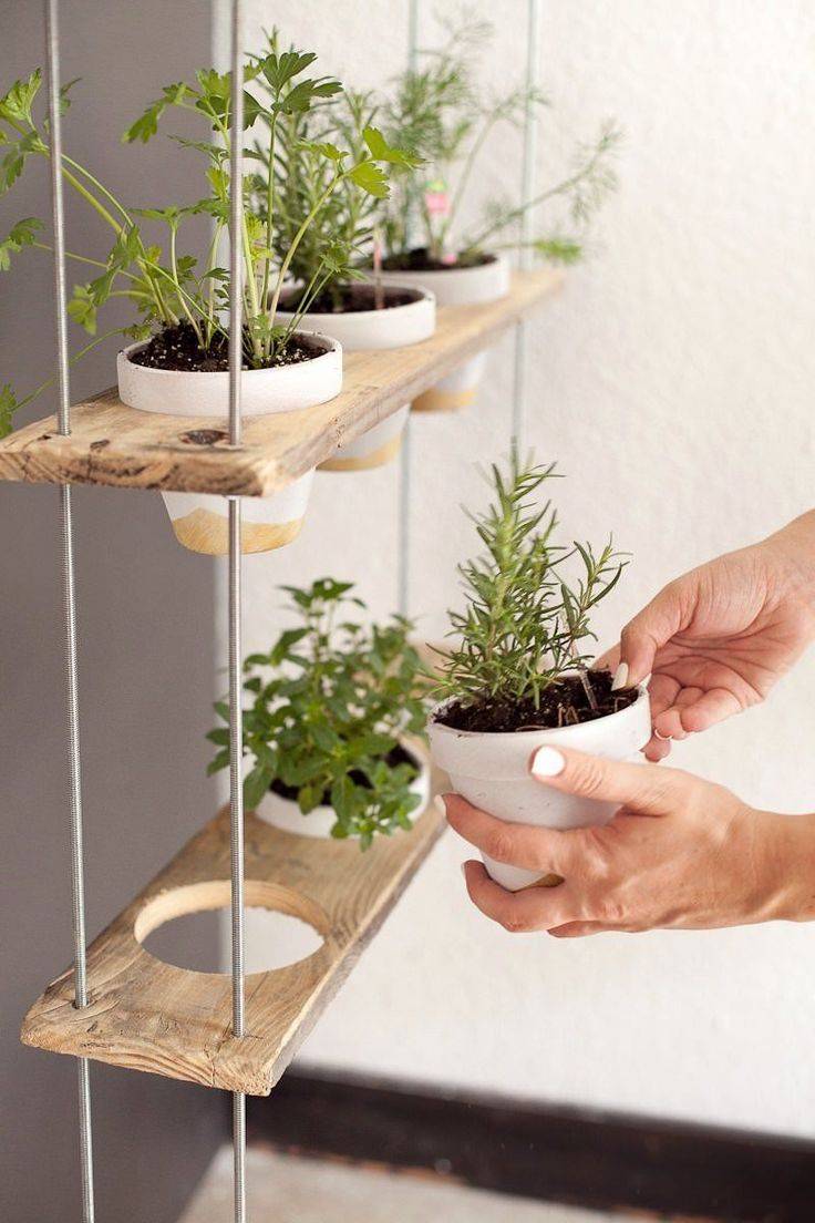 Best Hanging Herb Garden Ideas