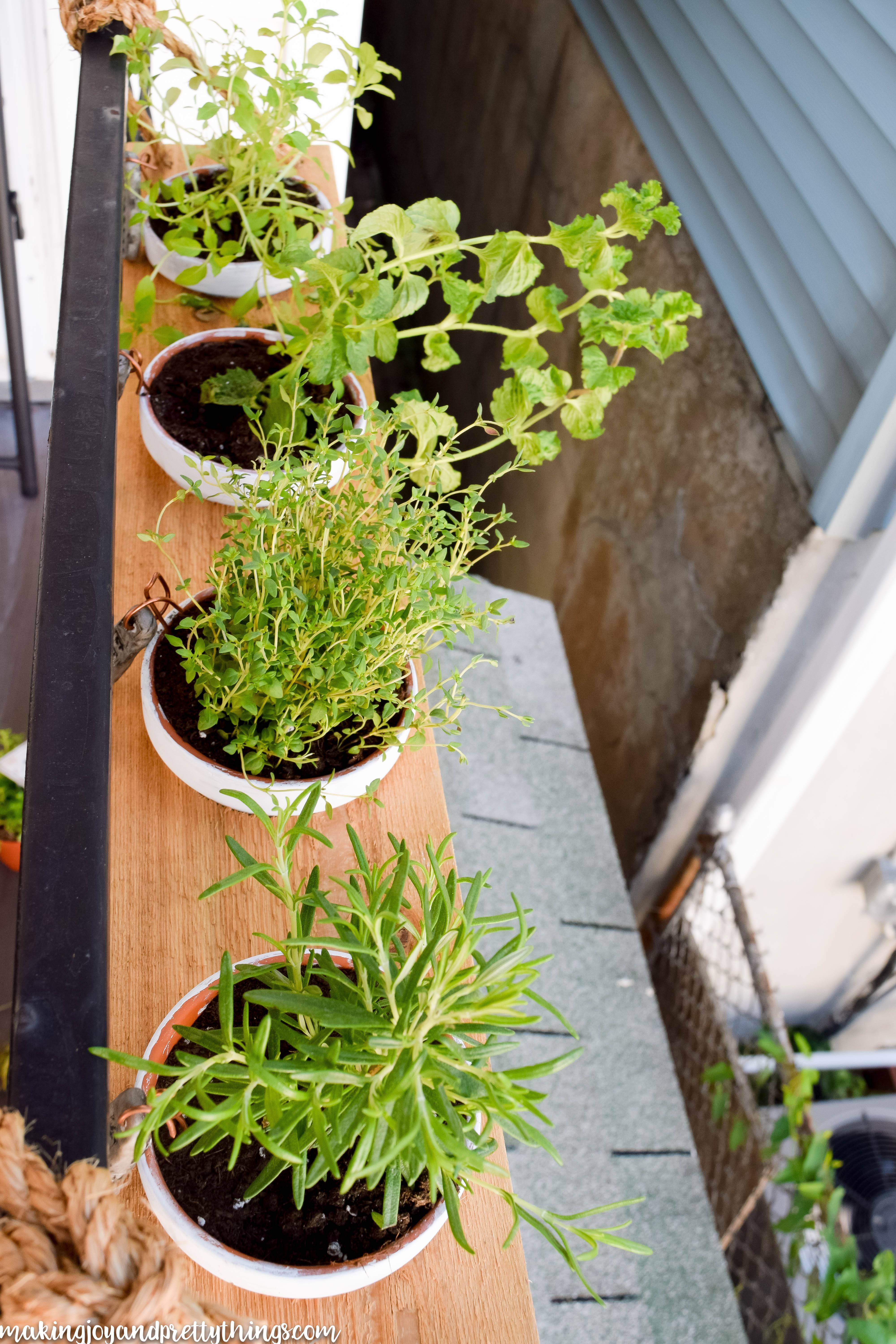 Cool Hanging Herb Garden Ideas