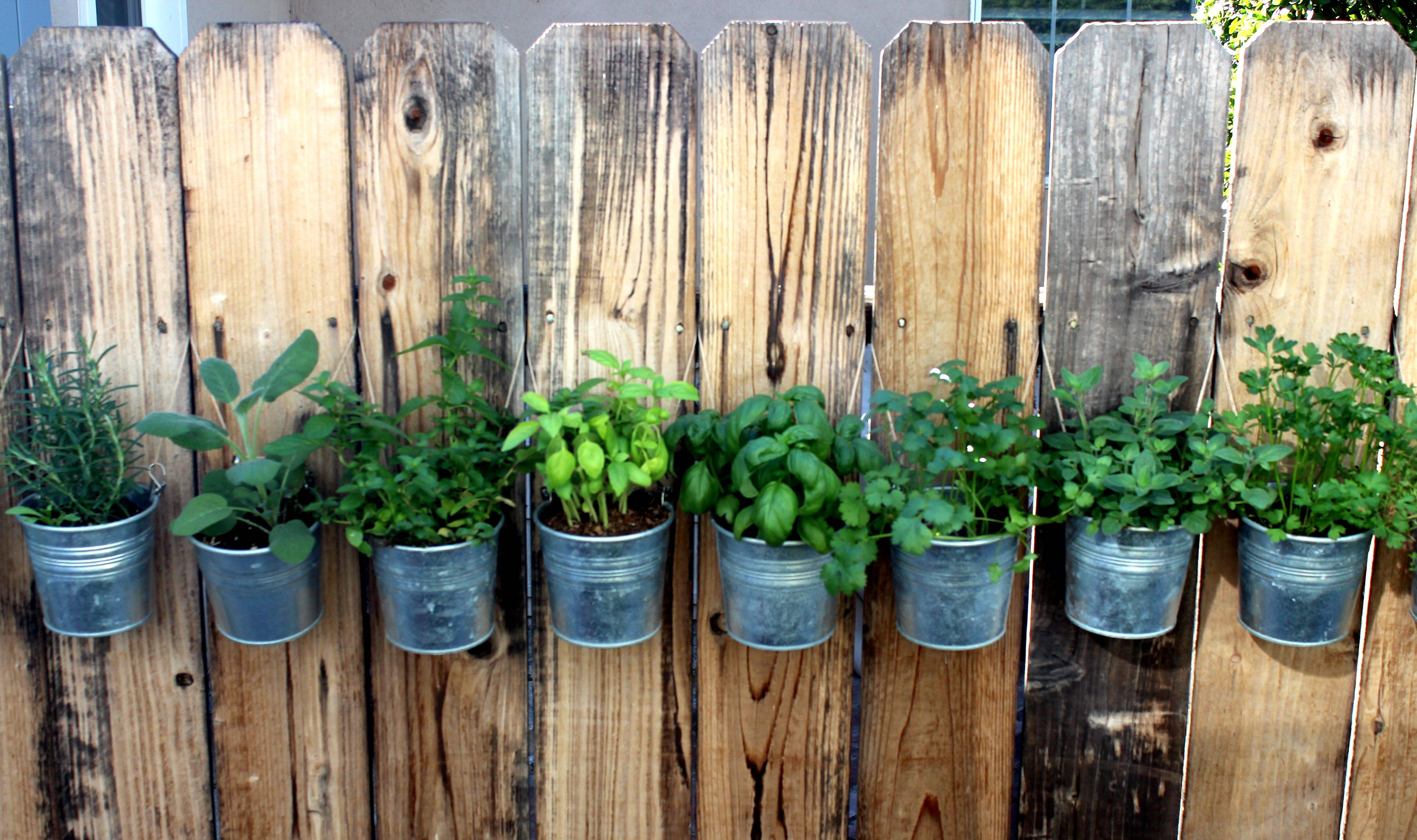 Cool Hanging Herb Garden Ideas