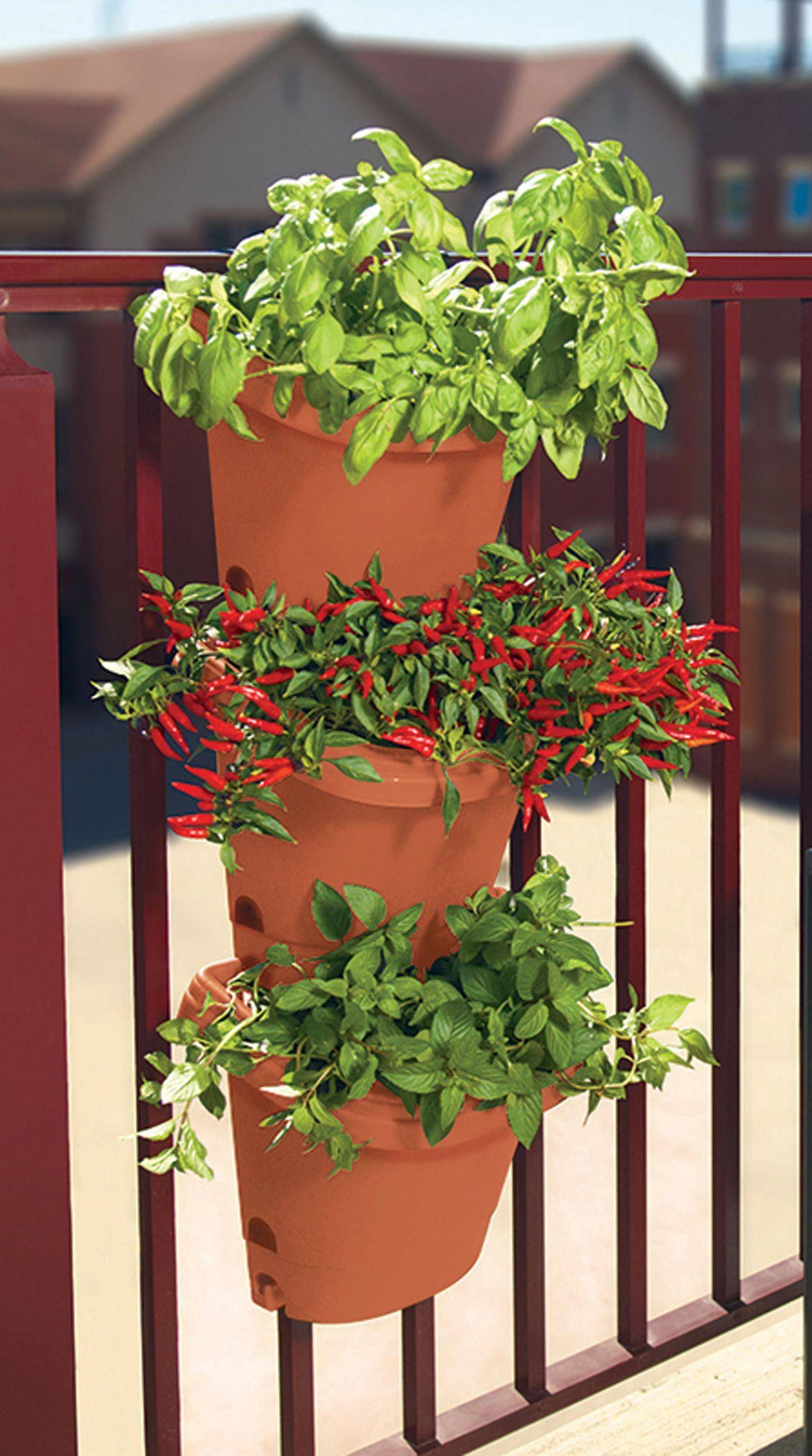 Herb Garden Planter