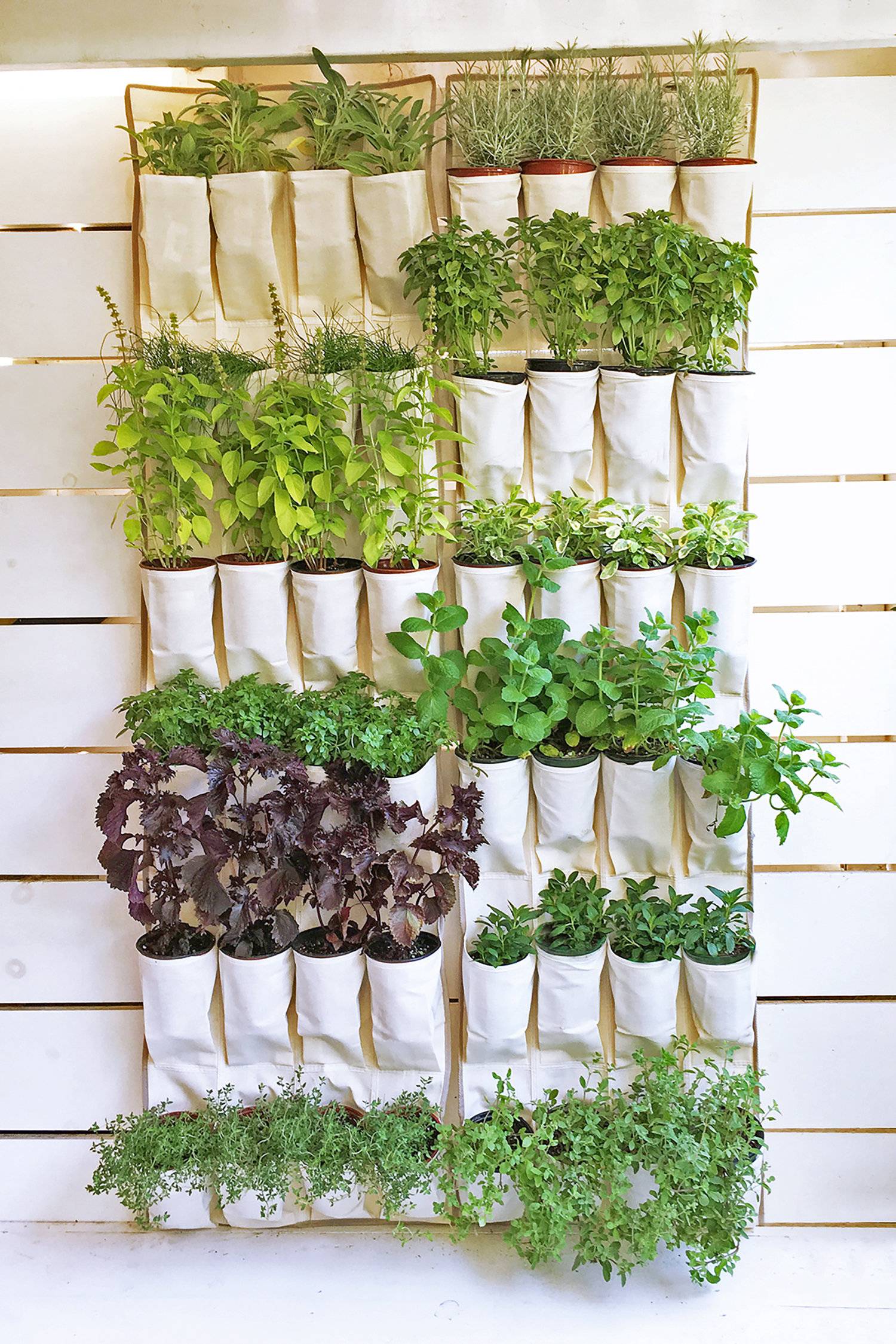 A Hanging Indoor Herb Garden