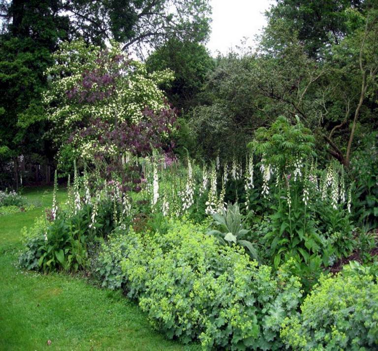 Our Woodland Garden Ideas
