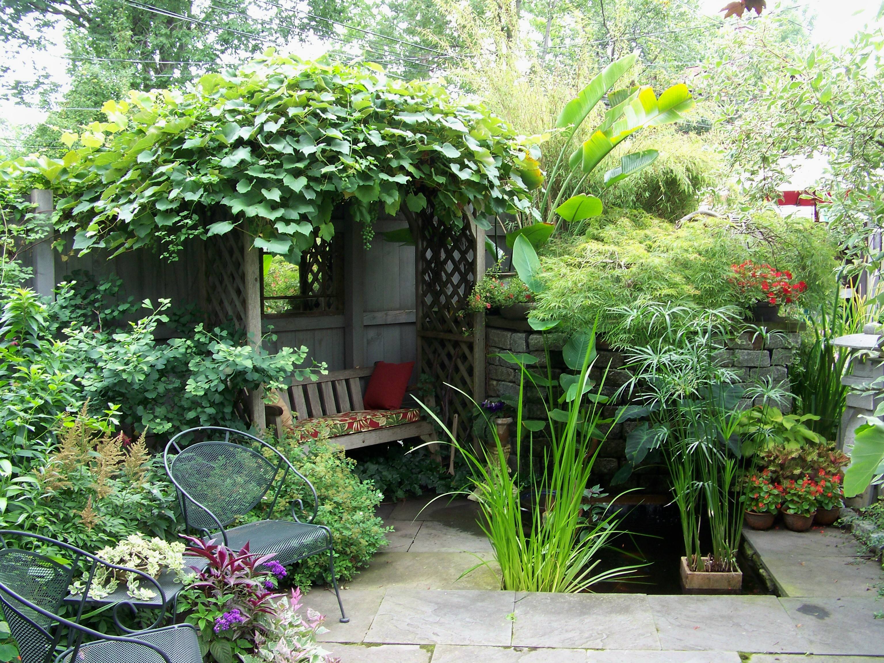 Small Backyard Garden