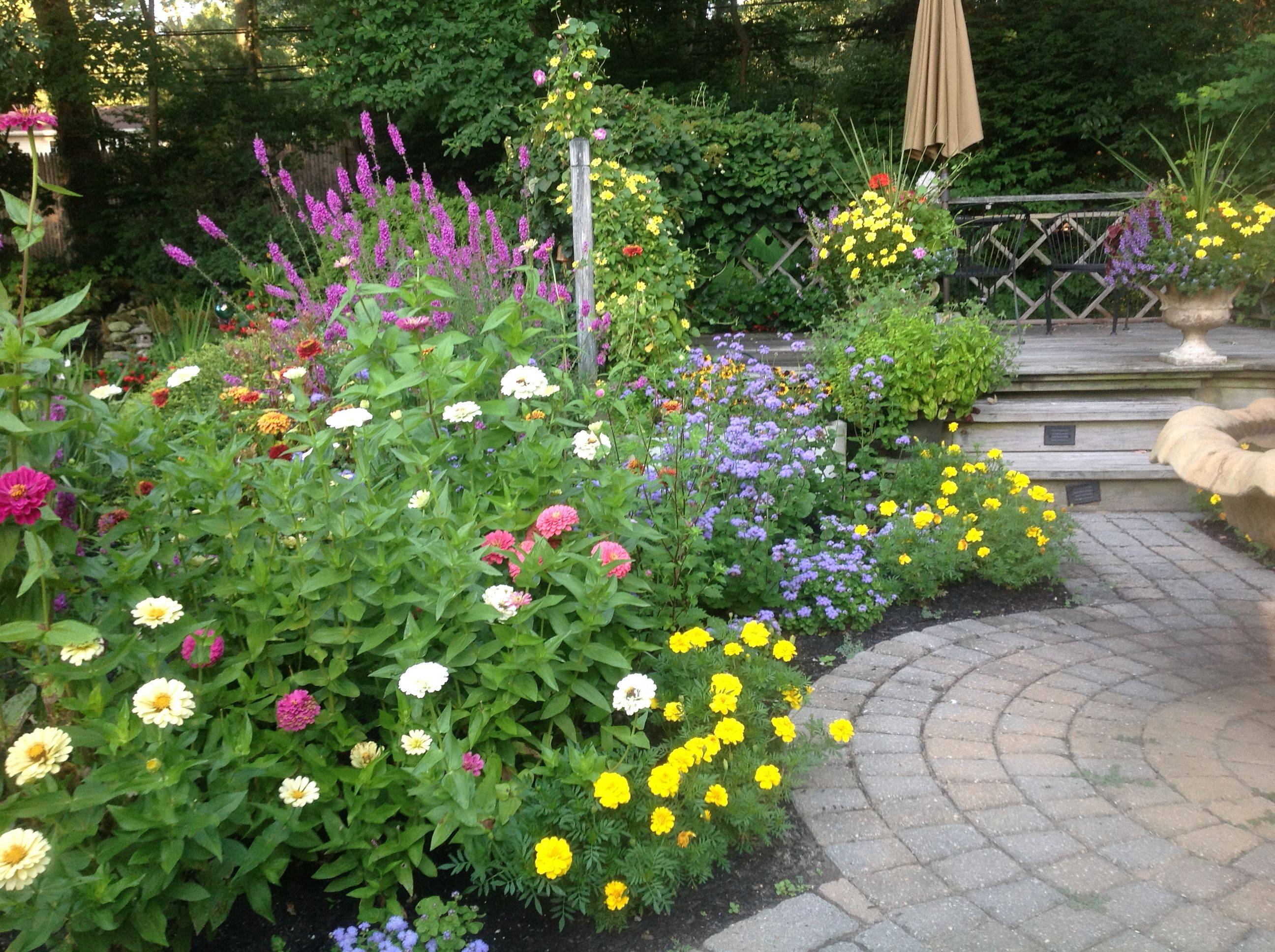 Summer Flowers