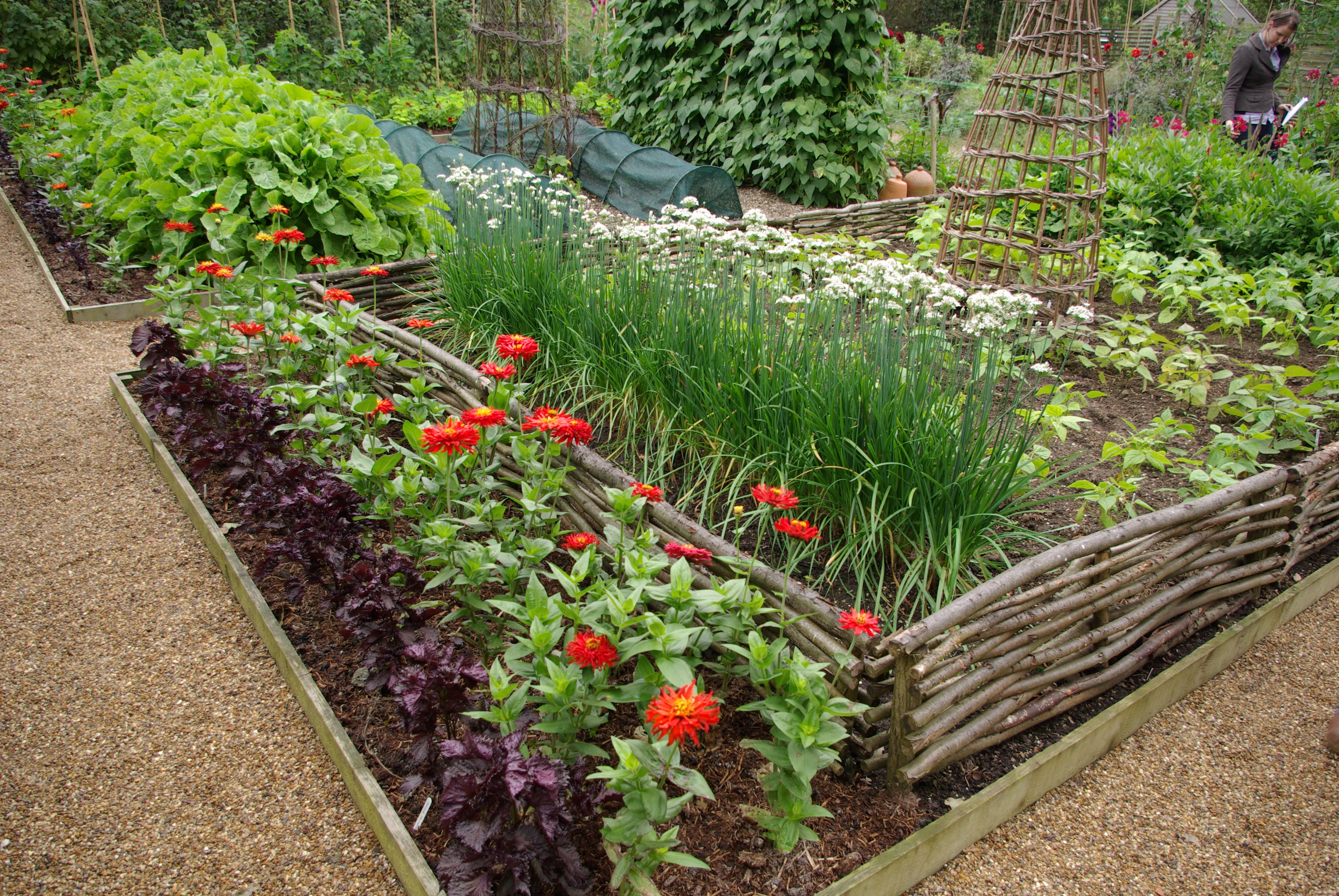 Your Own Cut Flower Garden