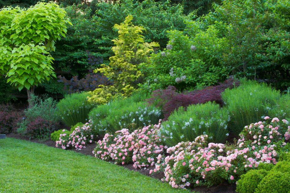 Top Garden Design Ideas Shrubs