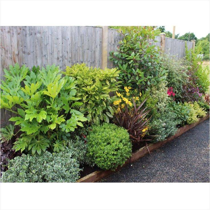 Front Yard Landscaping Ideas Evergreen Shrubs Garden Landscaping