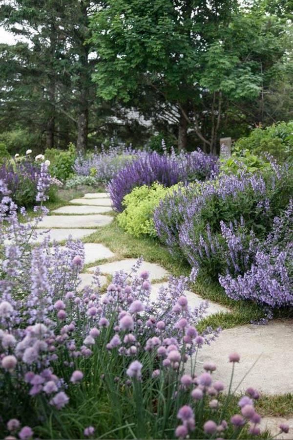 Best Impressive Sun Perennials Front Yard Ideas