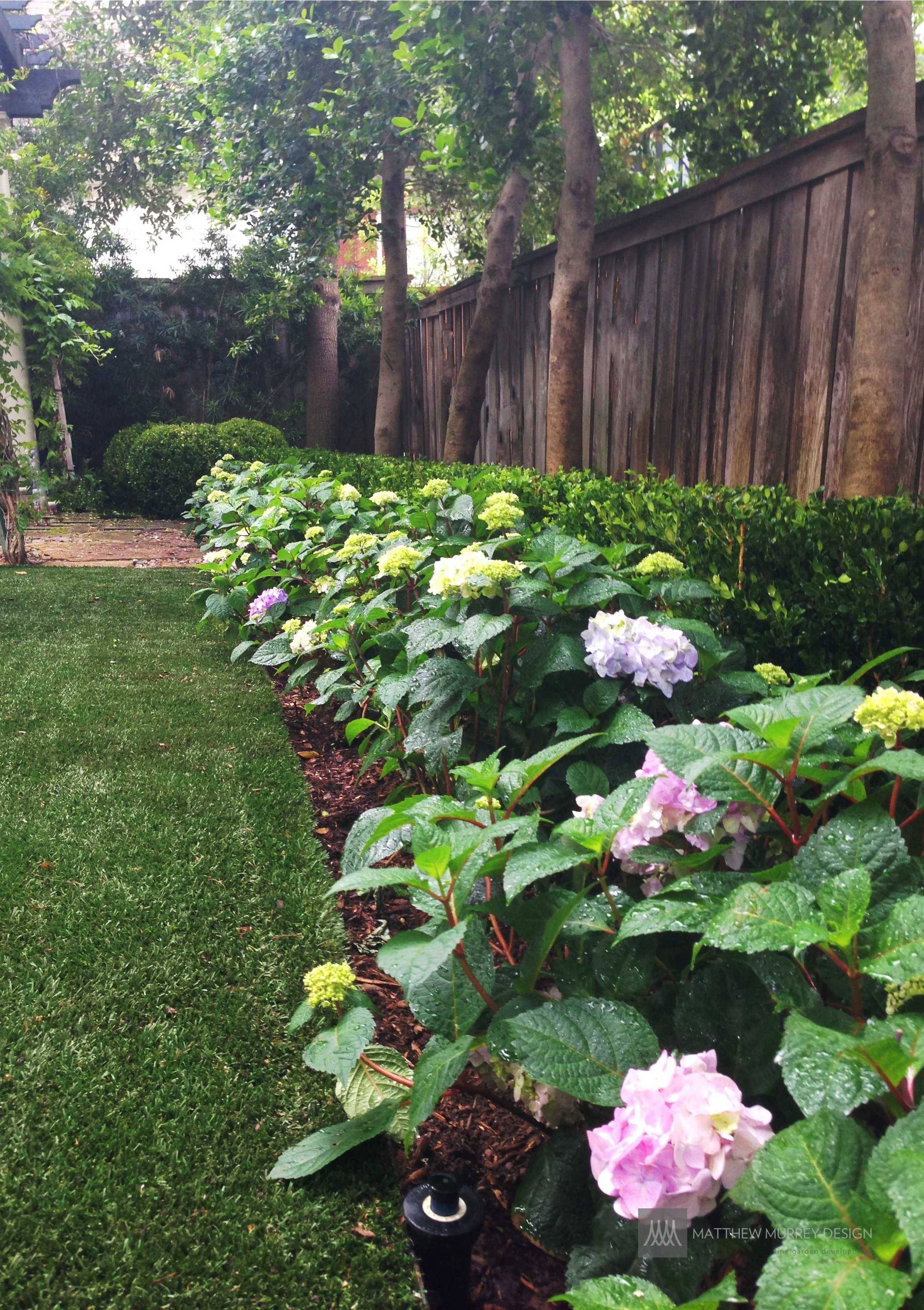 Colorful Perennial Garden Hgtv