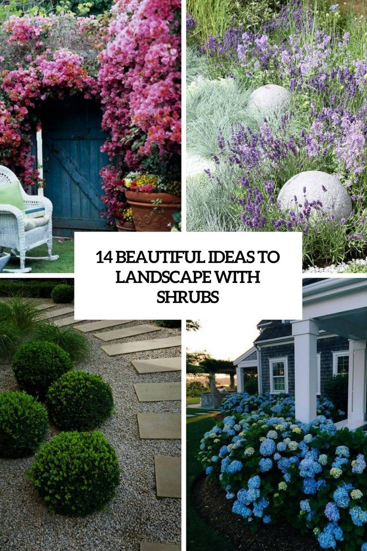 Stunning Evergreen Landscape Ideas