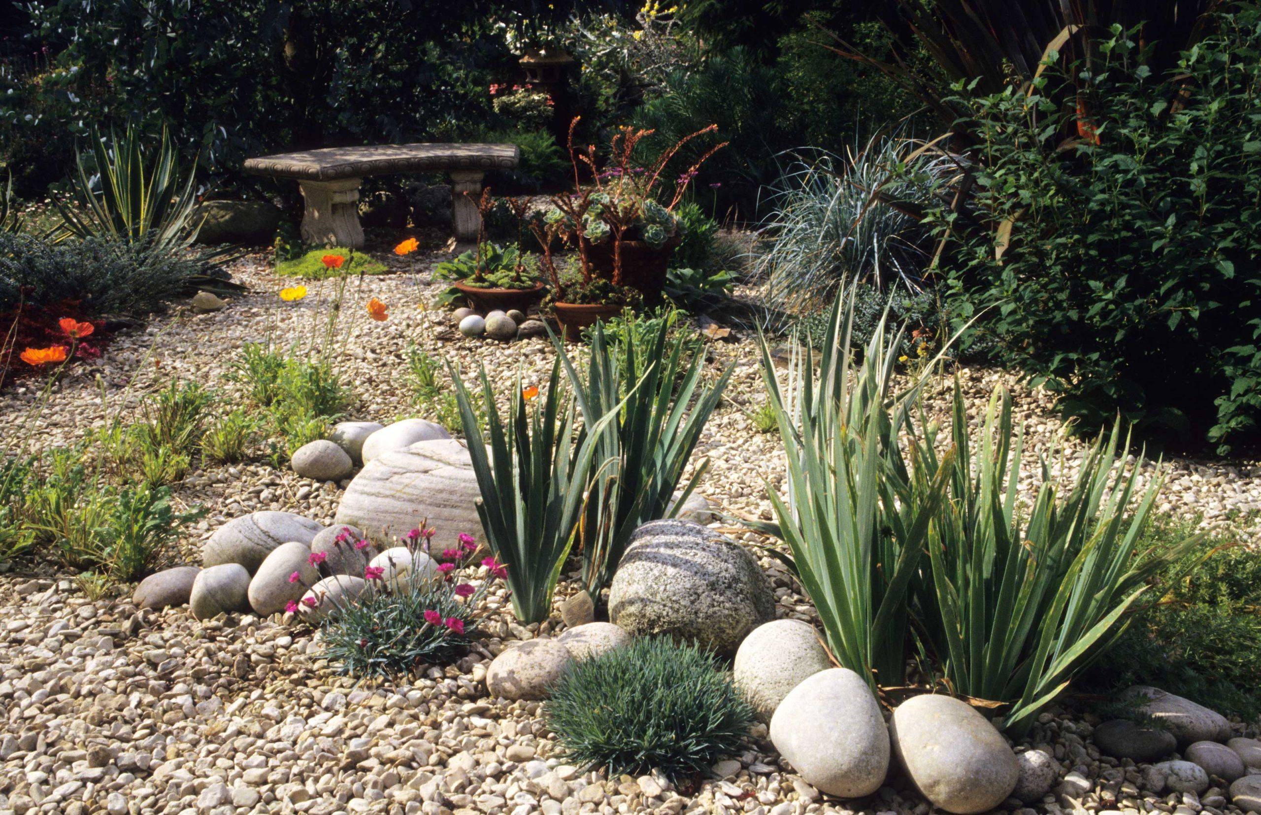 Gravel Garden Inspiration