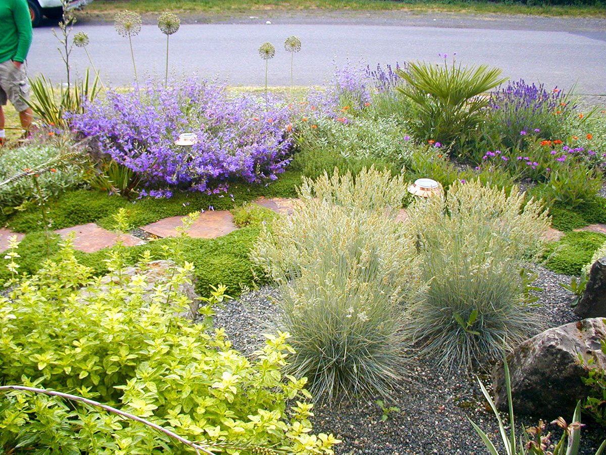 Low Maintenance Gravel Garden Ideas