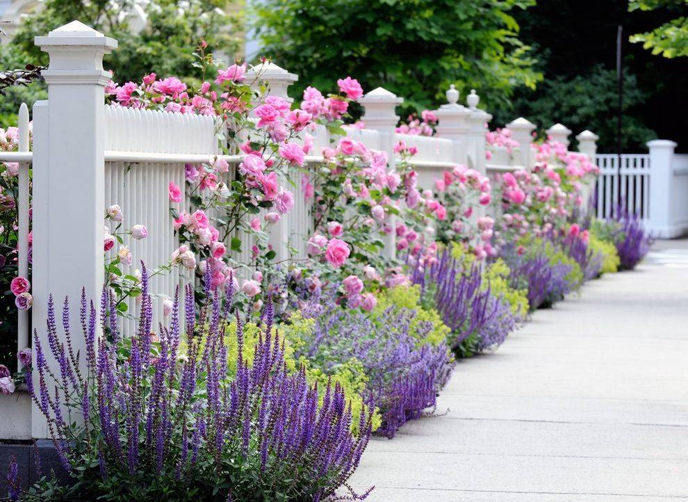 Stunning Small Flower Gardens
