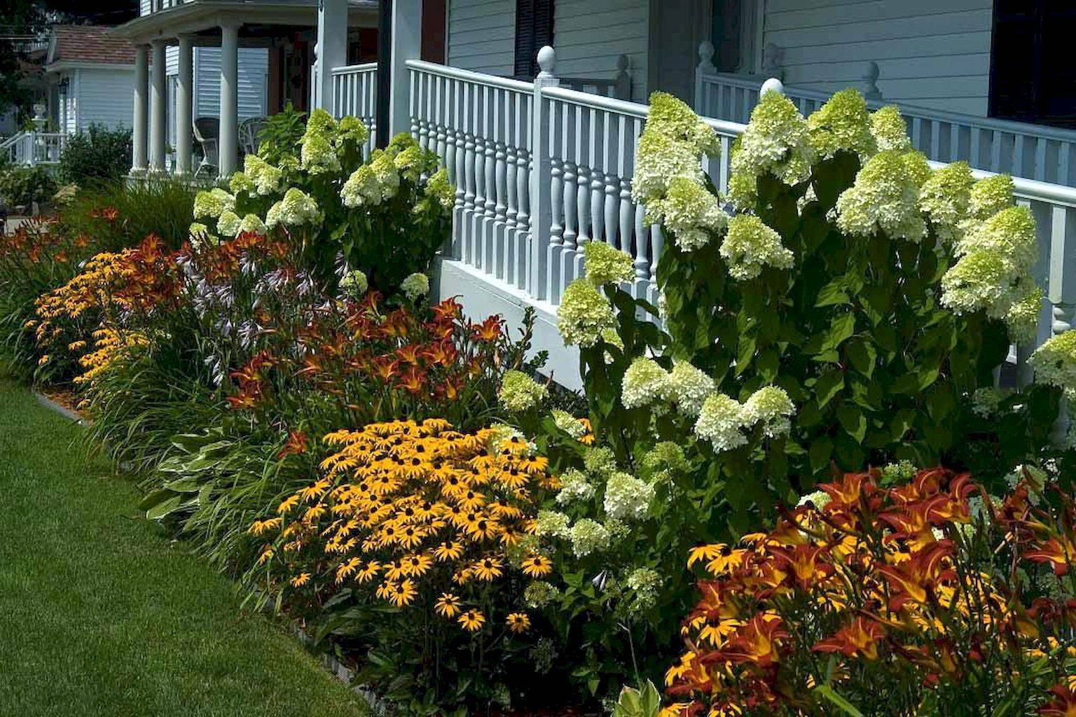 Beautiful Flowers