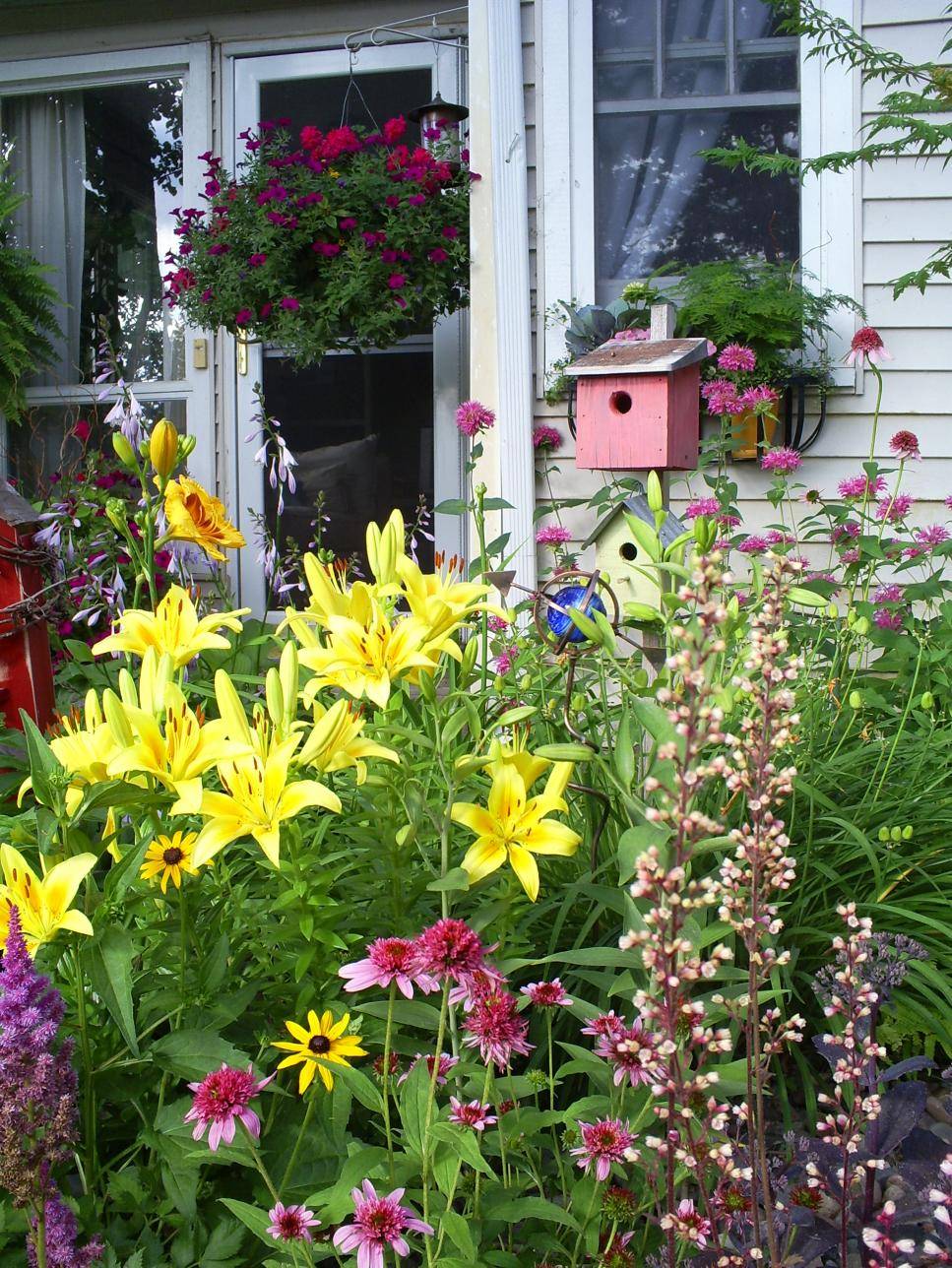 Other Plants