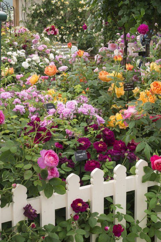 Pretty Flower Garden Ideas