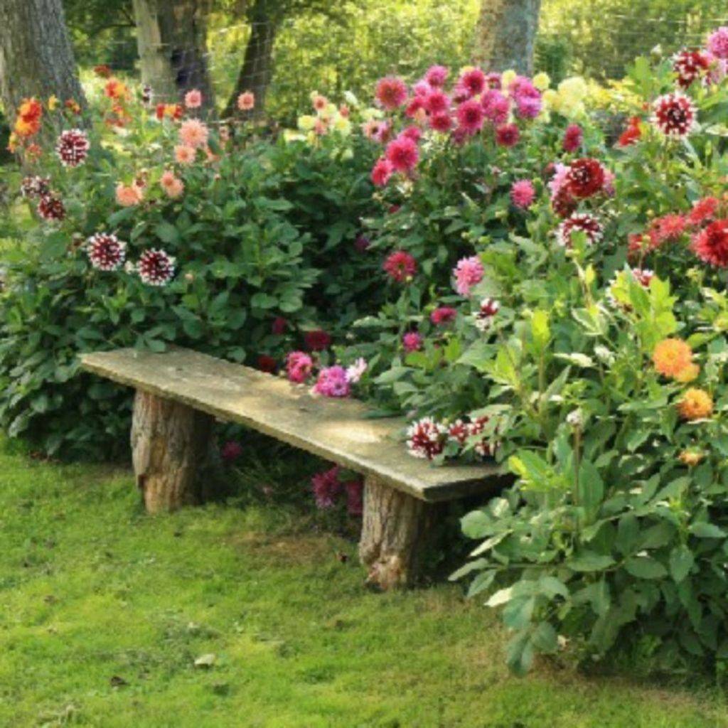 Beautiful Flower Garden Design Ideas