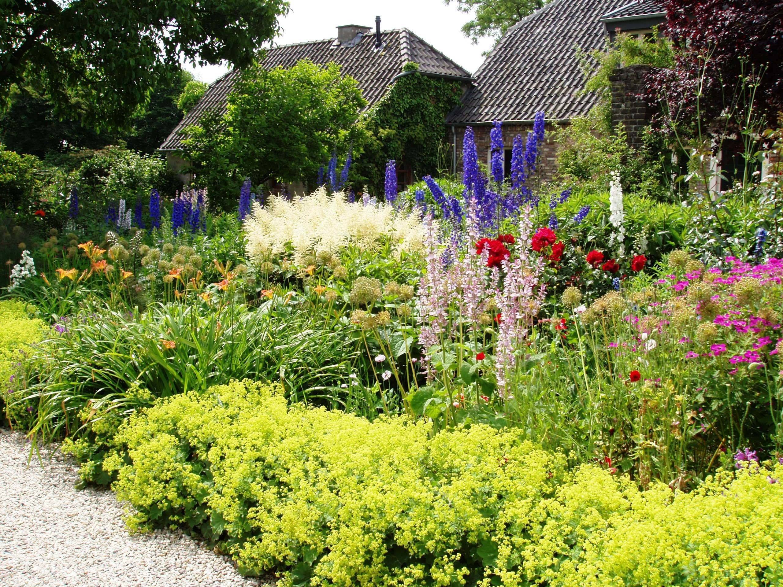 Foolproof Perennial Plants
