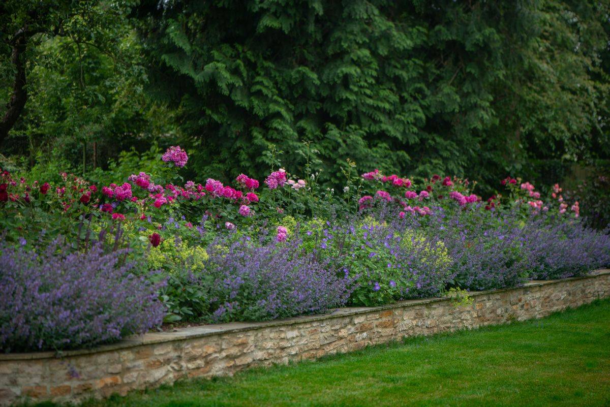 A Wild Informal Garden Finegardening Garden