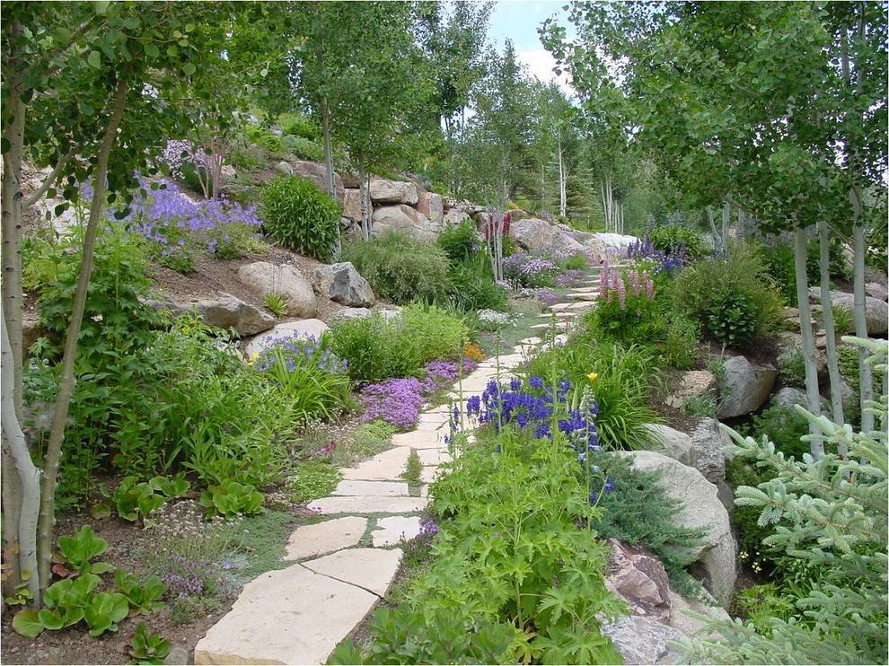 National Wildflower Week