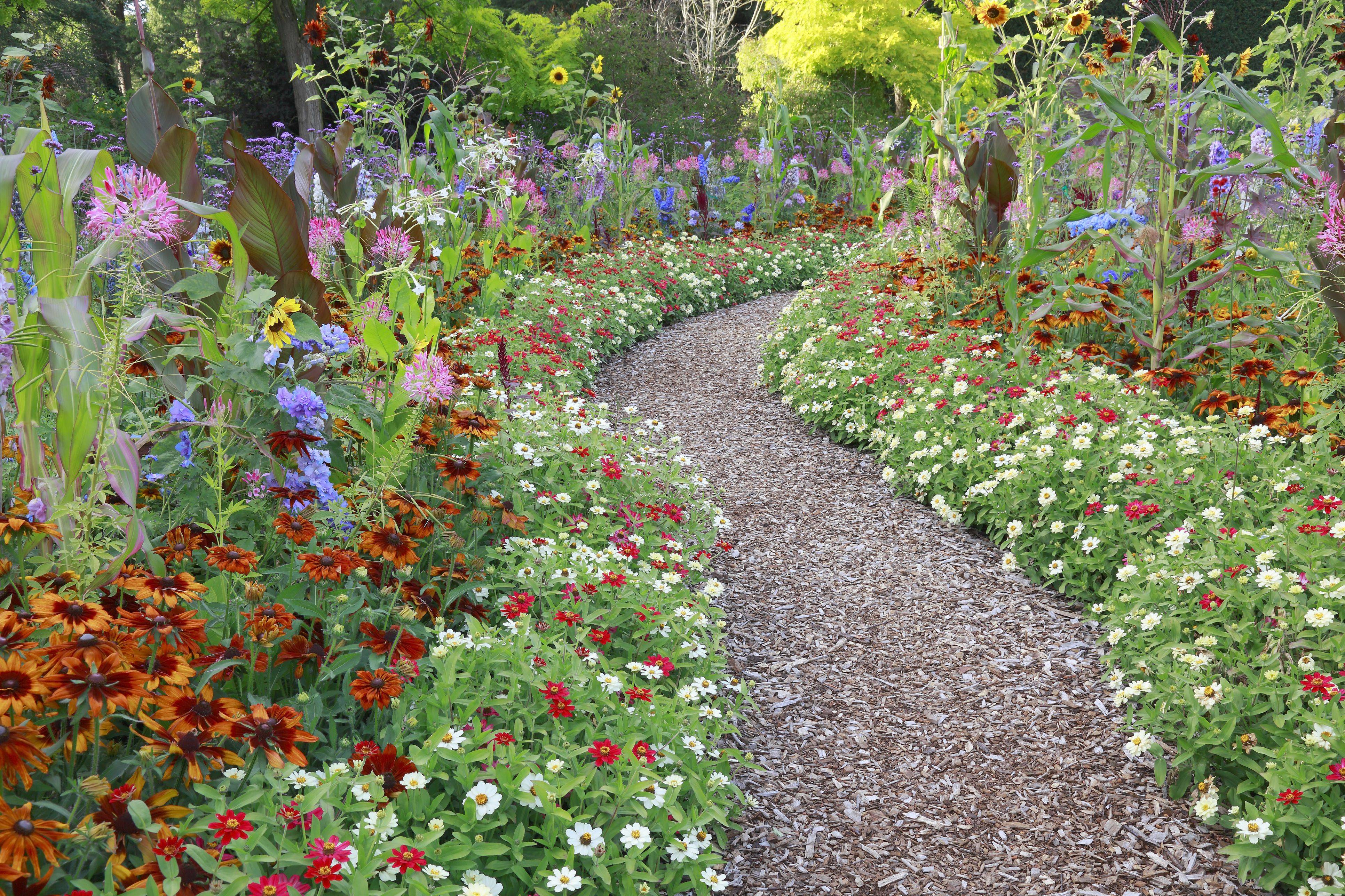 Wildflower Yard Designs Free Flower Garden Ideas Photograph
