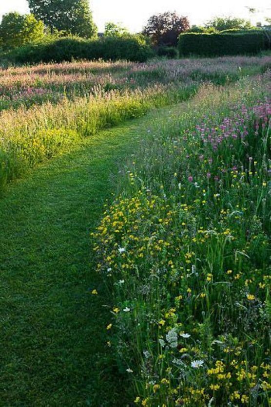 Beautiful Wildflower Field Ideas