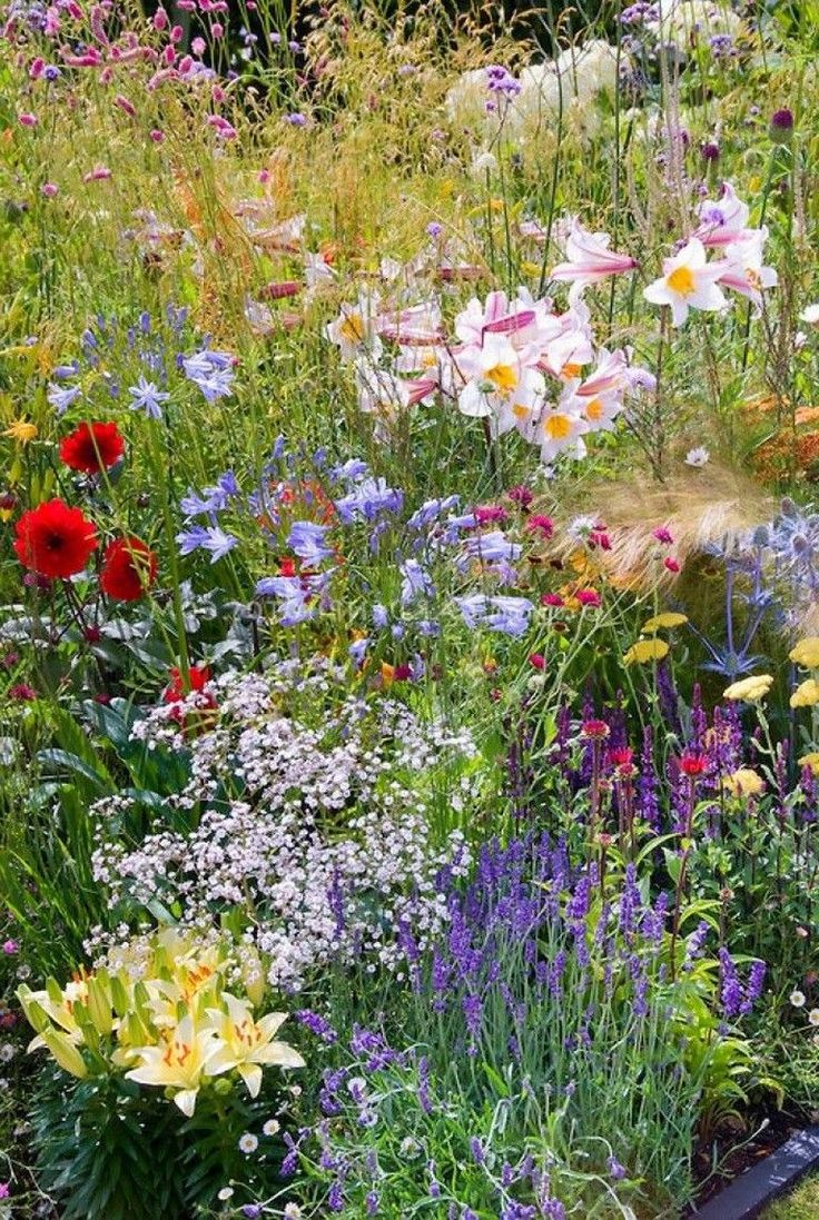 National Wildflower Week