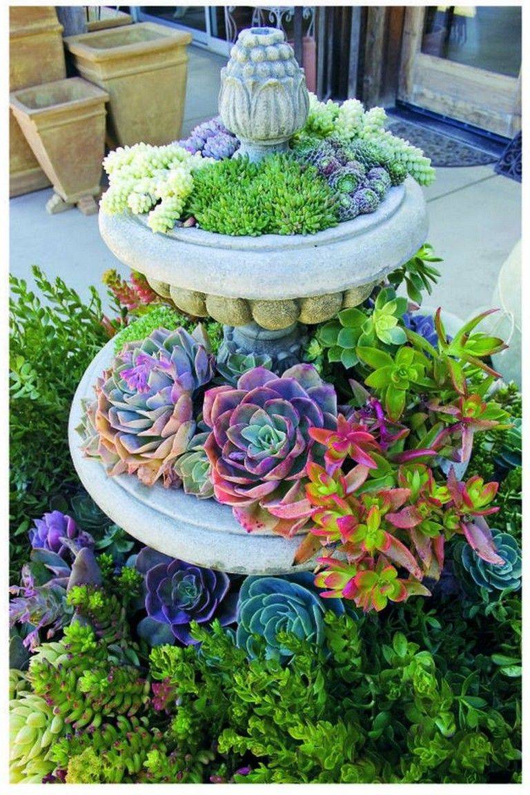 Different Easy And Reliable Rock Garden Plants