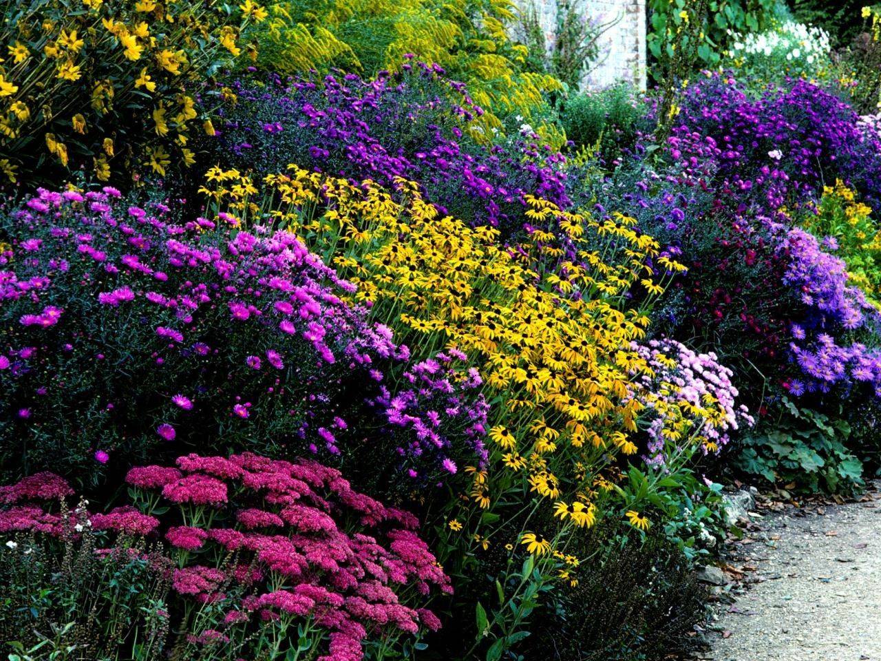 Most Elegant And Stunning Flower Garden