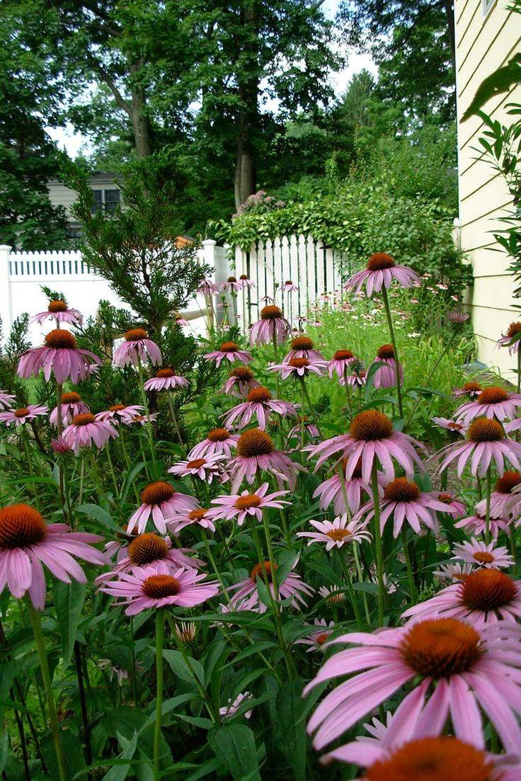 Small Flower Gardens