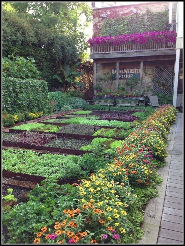 A Successful Vegetable Garden Gardening Viral