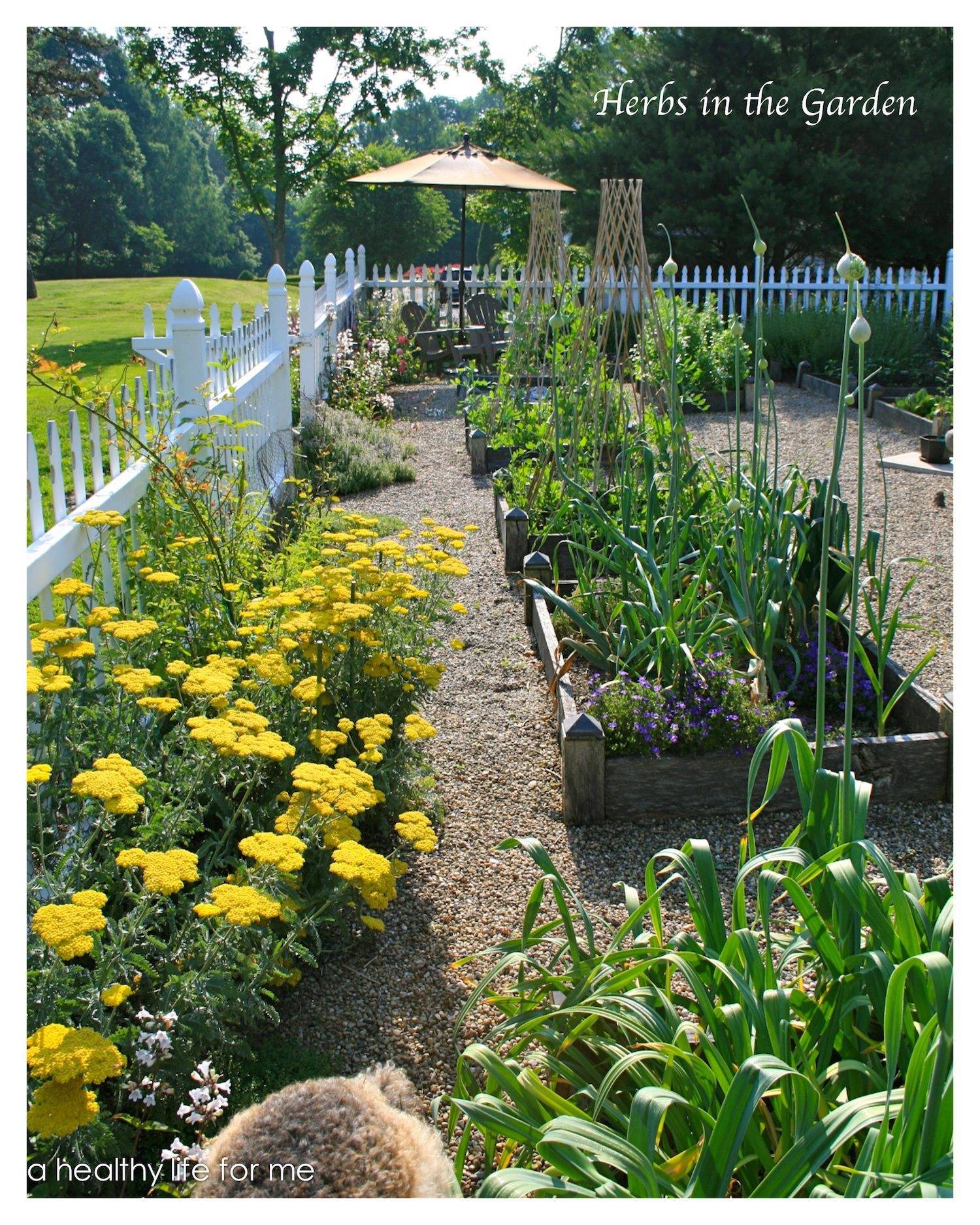 Amazing Herb Garden Ideas