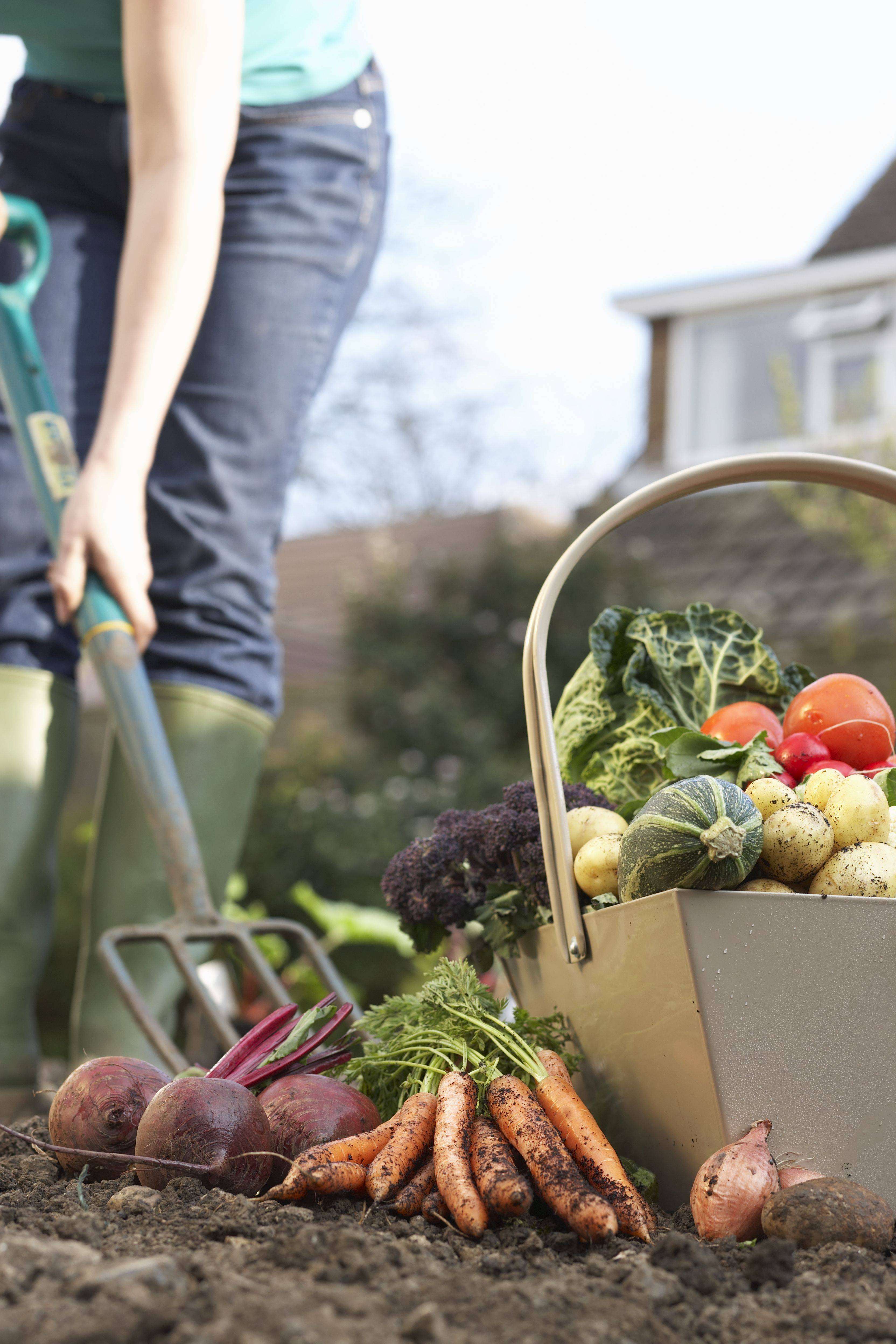 Organic Gardening