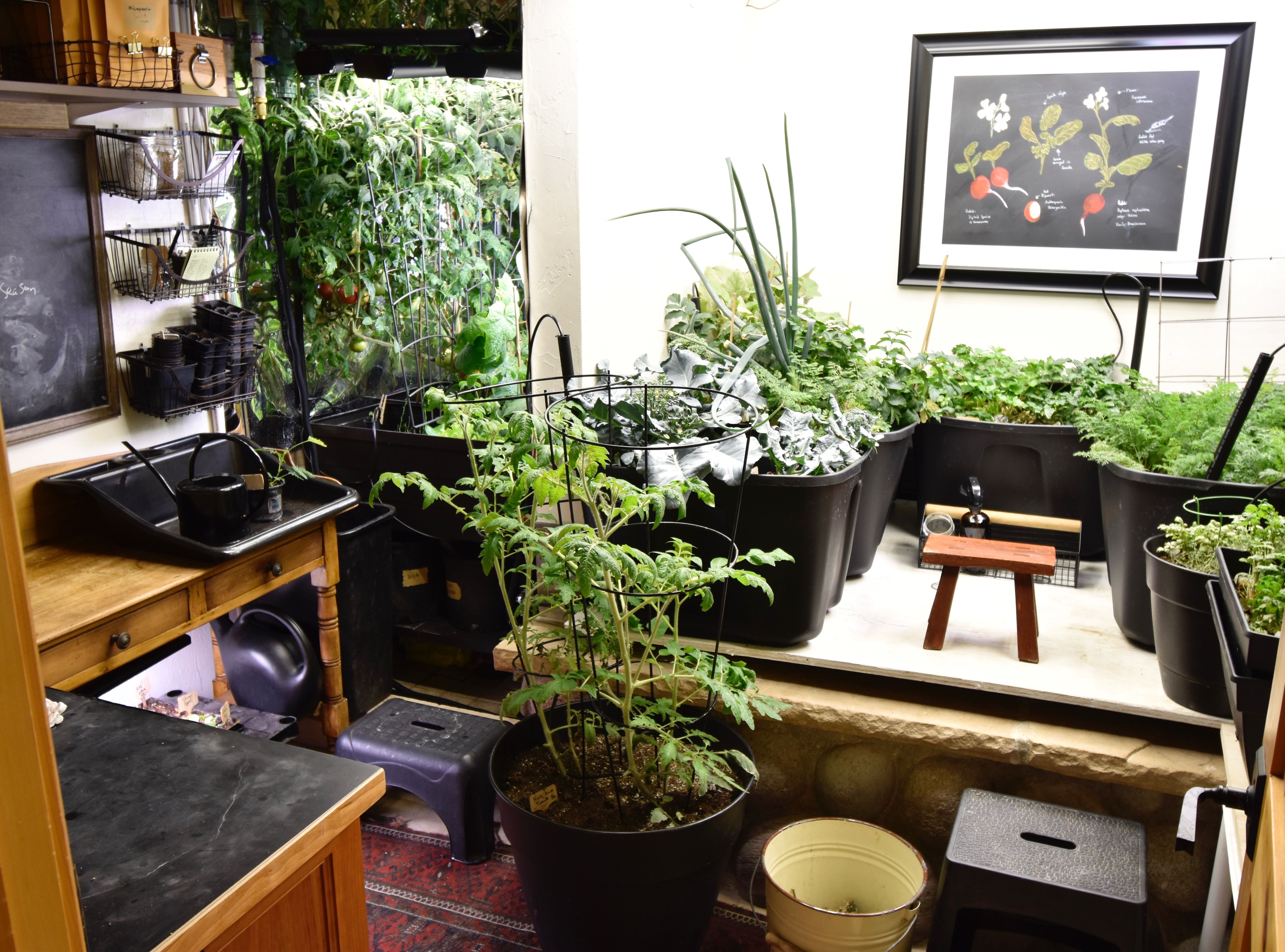 Indoor Hydroponic Systems