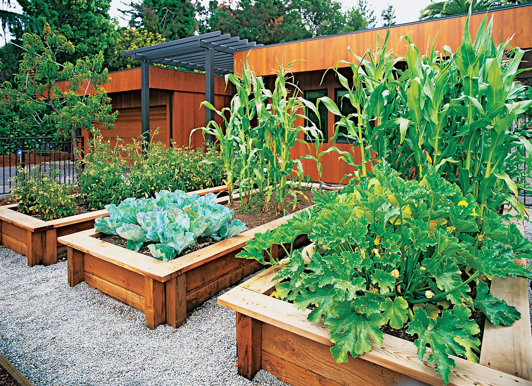 Advantageous Small Vegetable Garden Ideas