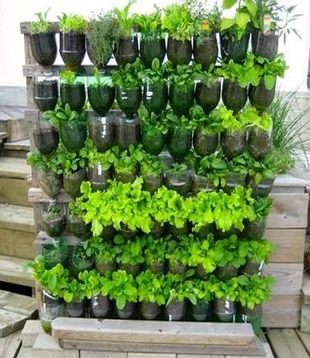 Inspiring Small Vegetable Garden Ideas