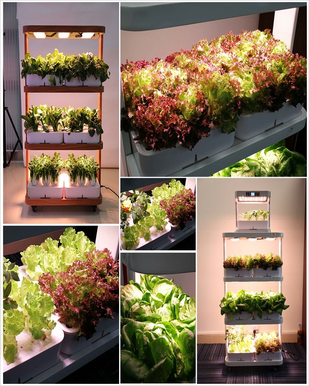 Indoor Gardening Indoor Vegetable Gardening Small Vegetable Gardens