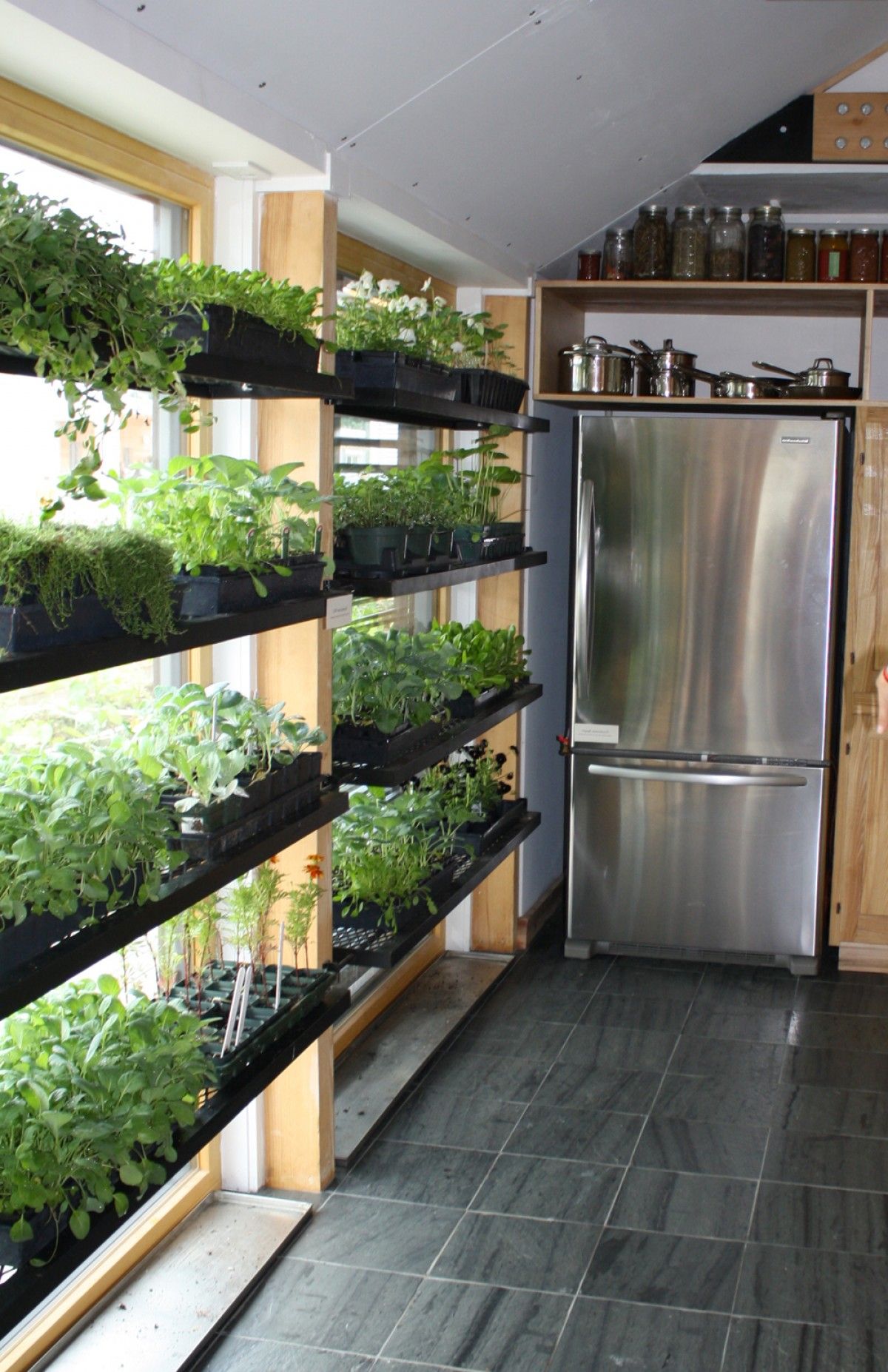 The Ultimate Indoor Vegetable Gardening Guide